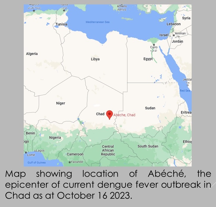 Disease outbreak news